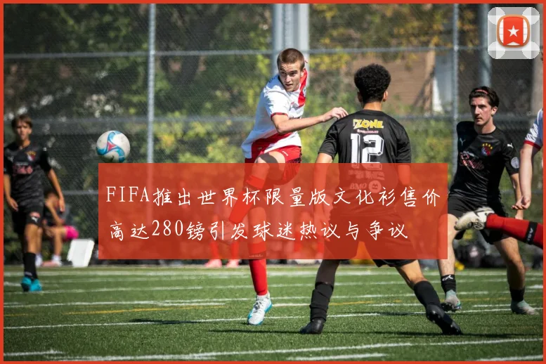 FIFA推出世界杯限量版文化衫售价高达280镑引发球迷热议与争议