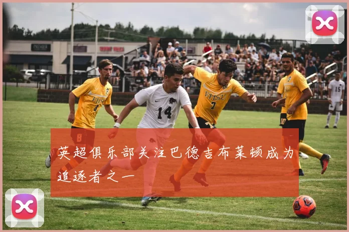 英超俱乐部关注巴德吉布莱顿成为追逐者之一